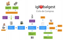 Ciclo de compras de Iglobalgest